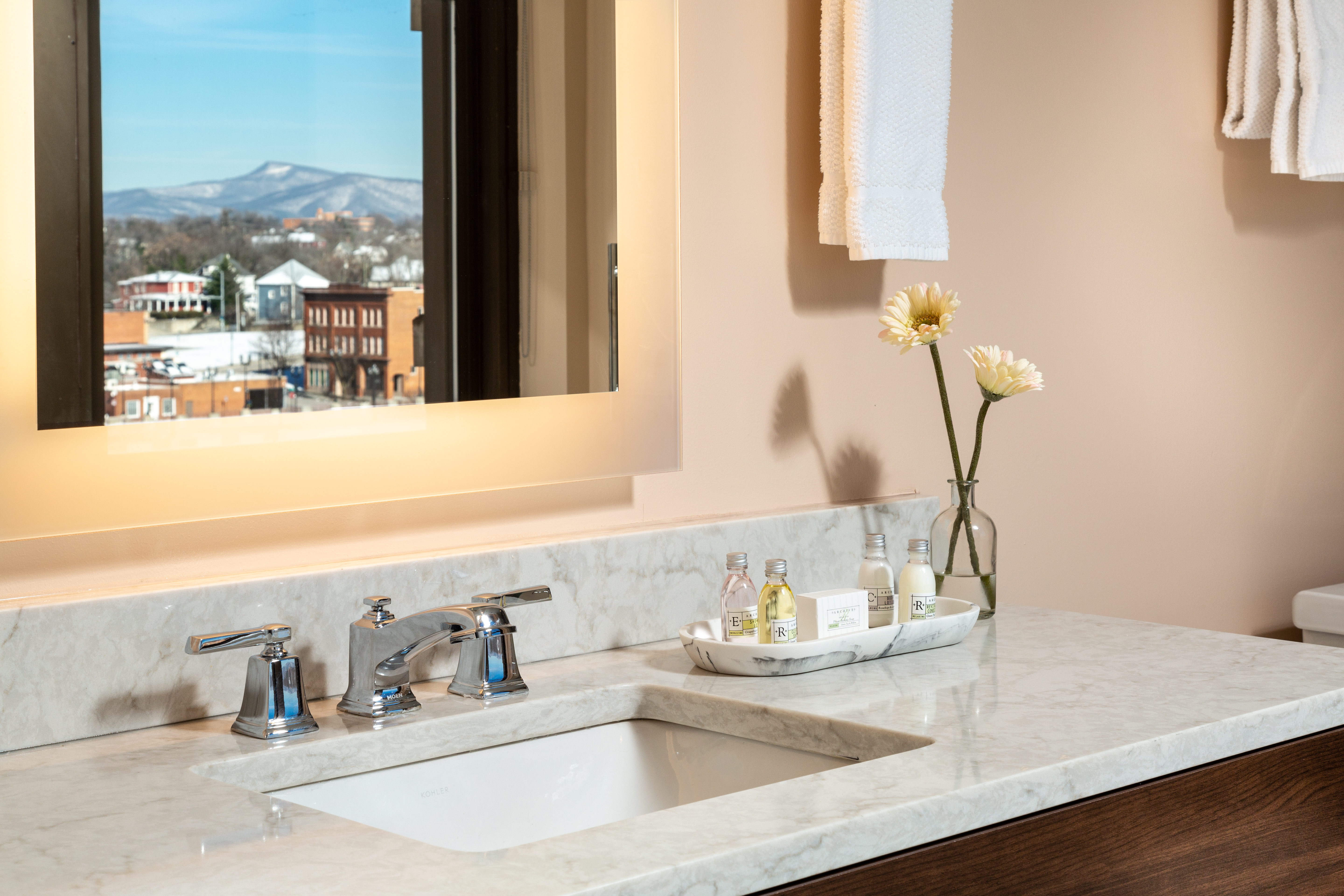 Bathroom Details - Roanoke Hotel Rooms