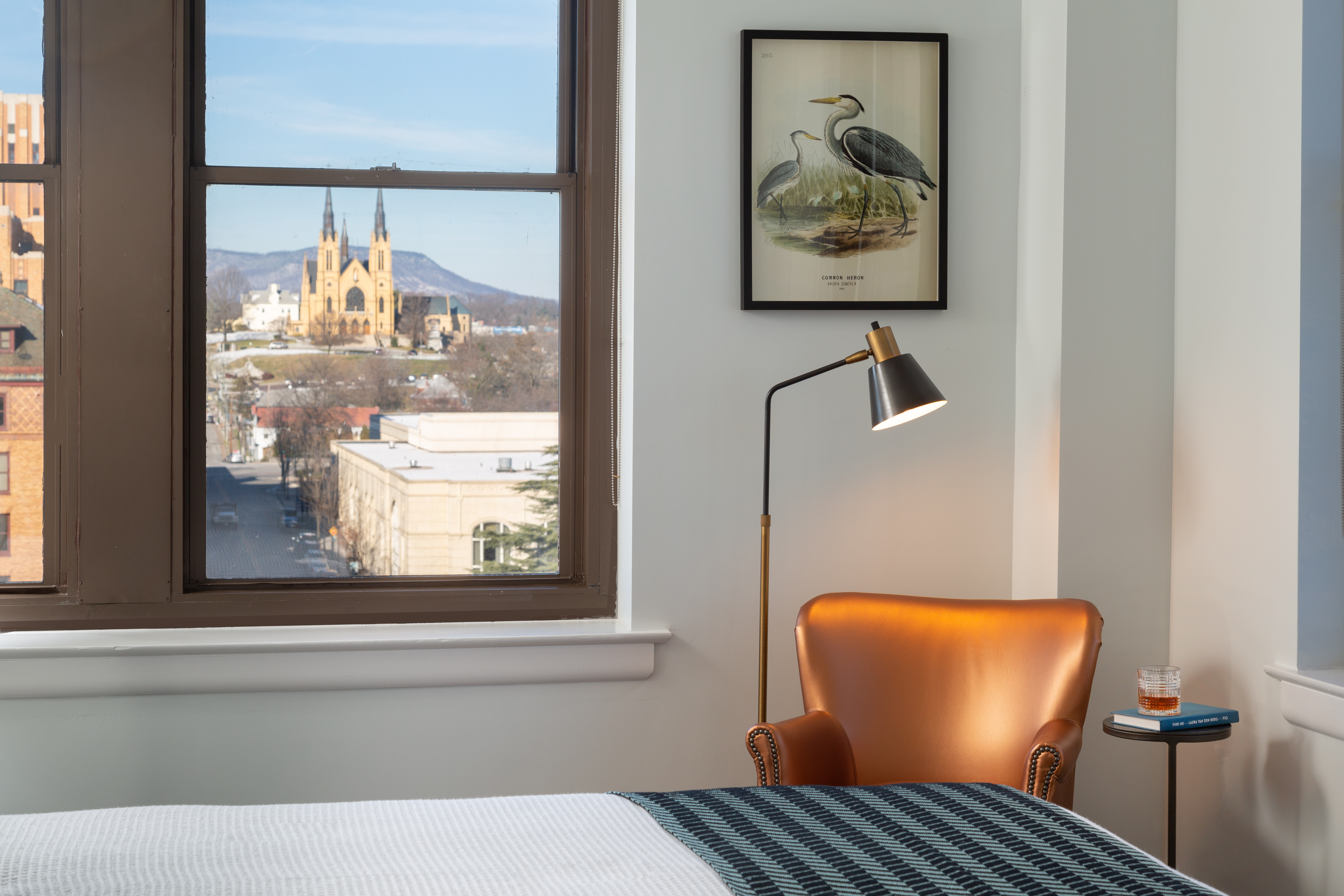 Guest Room View and Chair - Roanoke Hotel Rooms