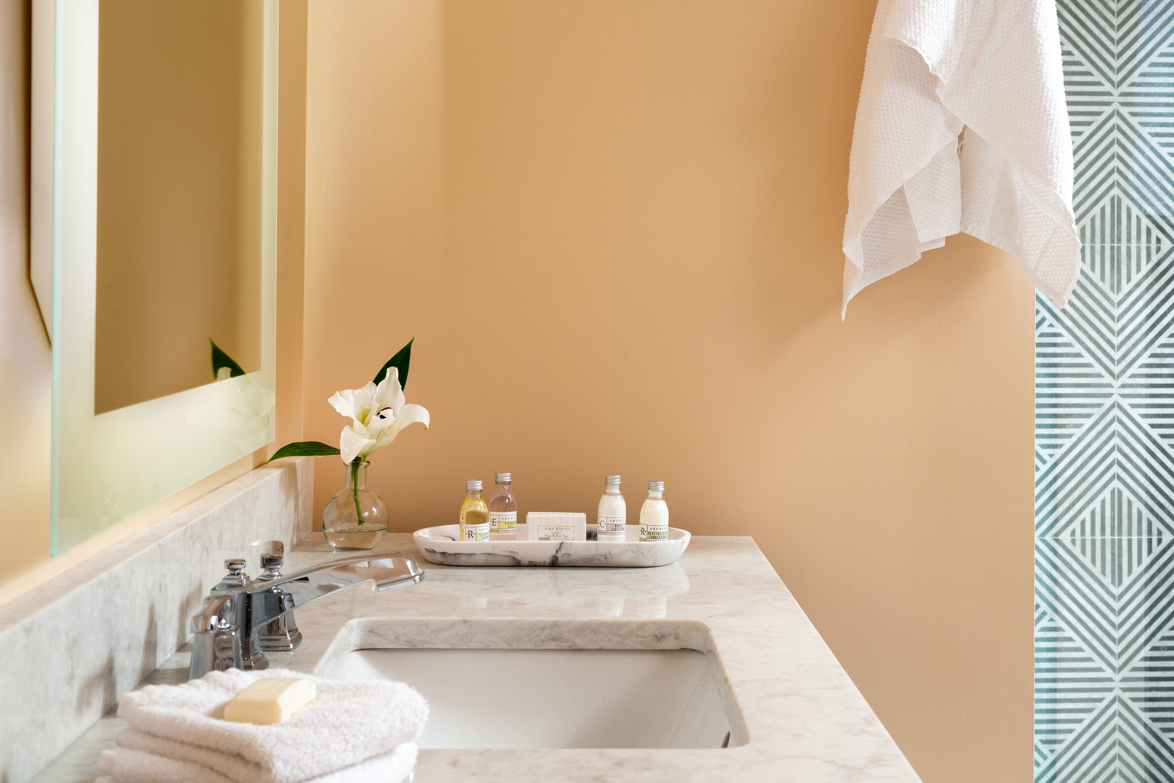 Guest Room Details - Roanoke Hotel Rooms